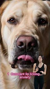 5 Smart Cat & Dog Hacks Every Pet Parent Should Know