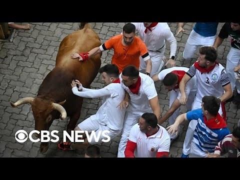 Running of the bulls in Spain