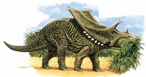 Chasmosaurus - Alchetron, The Free Social Encyclopedia