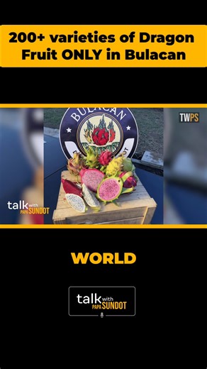 2.4K views · 23 shares | Over 200 Varieties of Dragon Fruit only in Bulacan! Worlds largest dragon fruit collection in the Philippines. Dragon Fruit Depot | Papa Sundot TV | Facebook