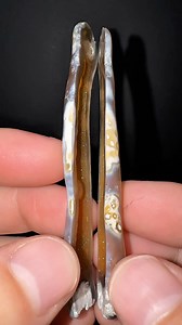 552K views · 40K reactions | Something’s inside this long coral 視✨ #crystals #rocks #geology #minerals #coral #fossils #geode #druzy | CoralGeodes | Facebook