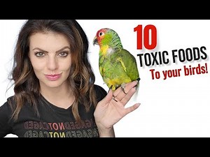 10 Foods that are POISONOUS to Birds! ⚠️ Foods TOXIC to Parrots! 🦜