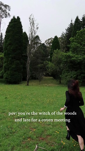 Midnight Witch of the Woods: Forest Coven Meeting POV