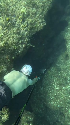 Easy Way to Catch a Snapper #snapper #catchingfish #easyway