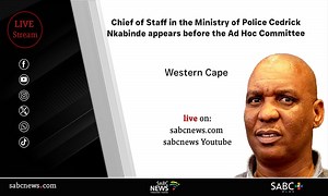 LIVE: Cedrick Nkabinde appears before Parliament Ad Hoc Committee - SABC News - Breaking news, special reports, world, business, sport coverage of all South African current events. Africa's news leader.