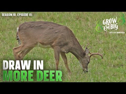 Draw More Deer to Your Property