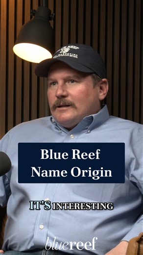 🤔 Ever wondered where the Blue Reef name comes from? You're not alone. 👉 Founded in originality and built on a need to bridge the gap between producers and the markets, Blue Reef has been serving the cattle and grain industries for over 13 years! #YourTrustedAdvisors #CattleMarket #FeederCattle #LiveCattle #GrainMarket #Rancher #Feedyard #Farming #BlueReef #LivestockMarket #FedCattle | Blue Reef Agri-Marketing - Livestock