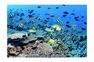 Ciência Espiritual 1 - Pensamentos / Spirit Science 1 - Thoughts (Legendado PT)