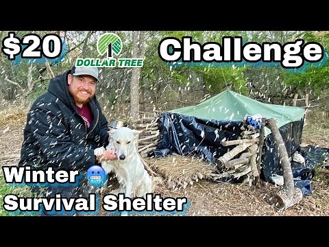 7 Day $20 Dollar Tree Survival Challenge - Day 5 - Winter Survival Shelter