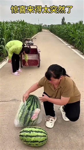 Building Wooden Log Cabin in Forest🌲❤️ I Survival House Step by Step"2 #shorts #shortvideo