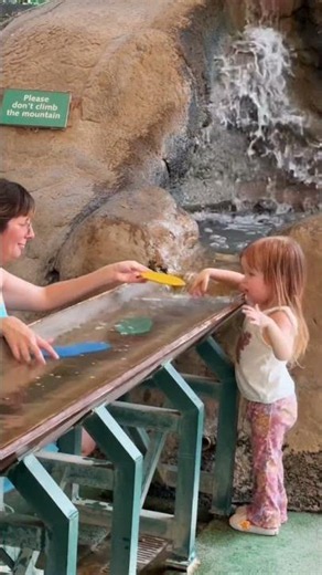 A Perfect Summer Day at Turtle Bay in Redding, California