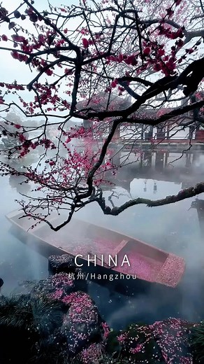 Explore the Plum Blossoms of Ancient Paintings at West Lake