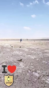 Running towards kite #wewantsavekiteflting #kitengechallenge #lahoreculture #cultureday #kite #lahore #kiteboarding #kitesurfing #kiteflying #banonkiteflying | Safe Kite Flying Association of Punjab