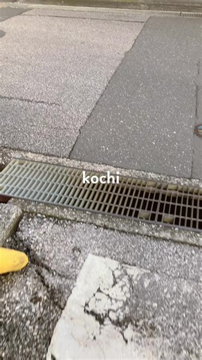 高知市の魅力を探る散歩