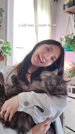How to upgrade your cat’s diet #ILYpartner #cat #catcare #catfood #kitten