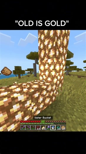 Old Minecraft Was Better… #Minecraft