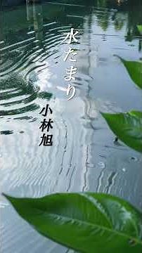 【水たまり】 小林旭 #演歌 #歌謡曲 #水たまり #小林旭 #shorts #響TV