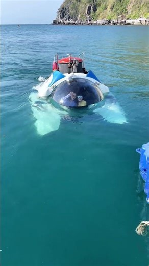 来海南三亚乘坐潜水艇看海底珊瑚 #travel #automobile #scubadiving #scuba
