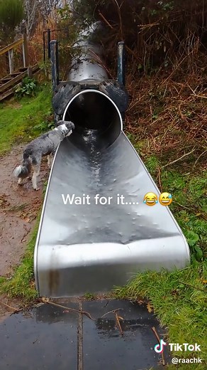 Funny Kids Falling Down Slides: Hilarious Moments