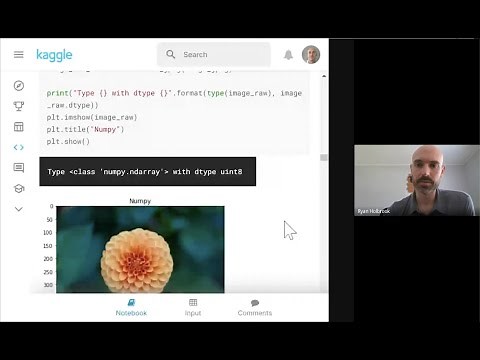 TPU Notebook Walkthrough: Introduction to TFRecords | Kaggle