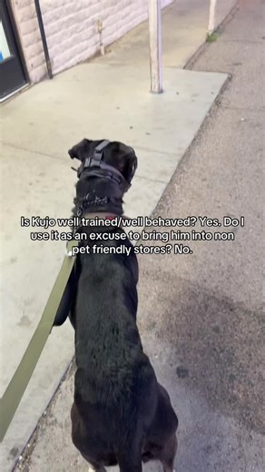 Weird how this is so “controversial”. If your dog isn’t a SD it has 0 business being in a non pet friendly store. Well behaved or not. #dogcommunity #fyp #sd #welltrained #contriversal