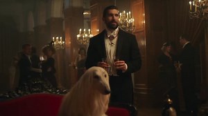 Afghan Hound in Southwest Airlines Commercial