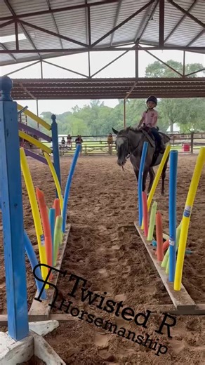 Obstacle Horse Show Highlights at 2B Performance Horses