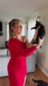 it's a kitty | News Repulse