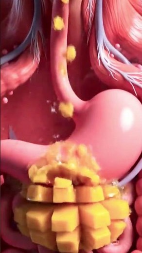 nside Your Gut: 3D Animation of Eating Mango & Parasite Worms