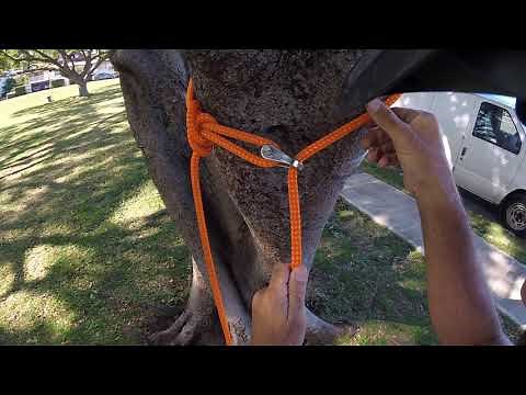 Cinching spar anchors for SRT tree work.