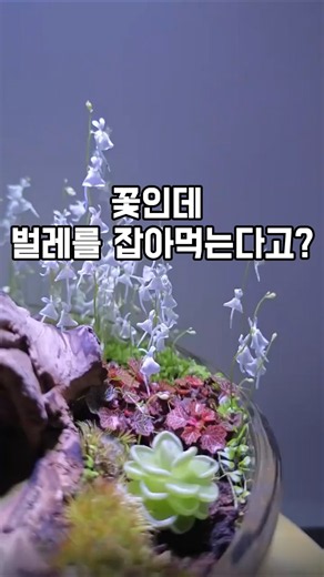 영상 상단에 제품 정보 있습니다☝☝☝프로필링크 ❤️467번❤️ 확인해주세요이 포스팅은 쿠팡파트너스 활동의 일환으로 이에 따른 일정액의수수료를 제공받습니다