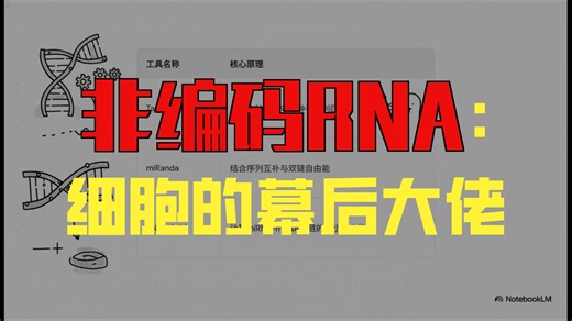 8_非编码RNA：解密基因组的“暗物质”