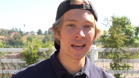 We turned our Backyard Swimming Pool into a FISH TANK!
