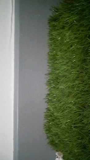 Vidéos de Nina Cola (@ninacola3) avec son original - JESSY