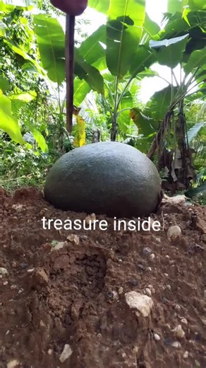 Exploring Yamashita's Treasure Deposit