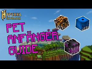 Pet Beginners Guide | Hypixel SkyBlock [Ger/ Eng Sub]