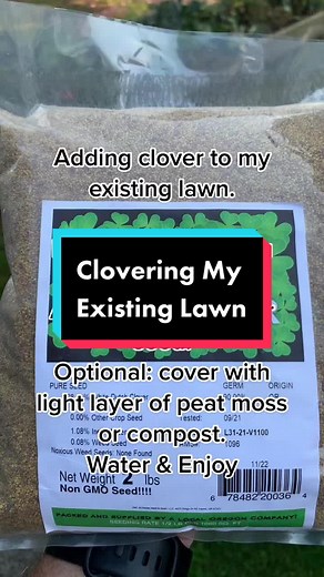 How to Add Clover to Your Existing Lawn