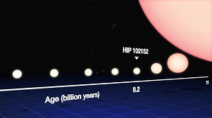File:The life cycle of a Sun-like star (eso1337a).webm - Wikimedia Commons