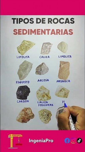 Did you know these rocks form entire mountains? Discover them #Geology
