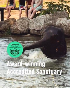 Step into a sanctuary where rescued elephants live in peace, roam freely and are cared for with respect. At our you’ll embark on an immersive experience that blends learning, nature and genuine connection Located on 30 Rai of lush jungle land, near the tropical beaches of west Phuket, we are an accredited, award-winning ethical sanctuary committed to providing the highest level of care for our elephants. Feed, meet, and observe our rescued elephants as they play in the mud, splash in the water, 