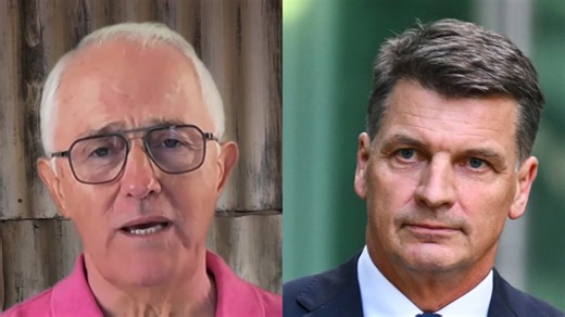 ‘Best qualified idiot’: Malcolm Turnbull's unhinged rant on Angus Taylor left unchallenged by ABC