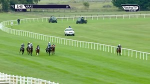 10K views · 182 reactions | Make A Challenge:  May 2019 One-time handicap winner, rated 68  June 2020 Seven-time winner, two Listed prizes, rated 112 | Racing TV | Facebook