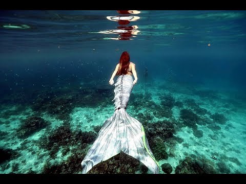 Mermaid Swimming School