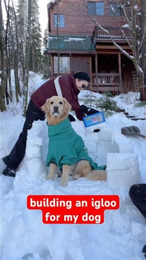 this building is definitely not up to code… #igloo