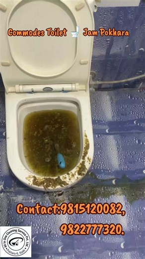 Expert Commodes Toilet Jam and Deep Cleaning Services