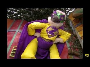 Zoboomafoo - Zobooland characters singing the Closet Song #3 😂😂