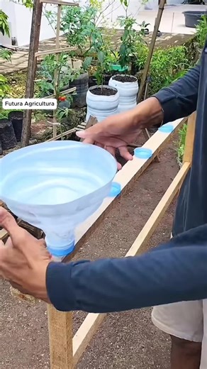 #huerto #hidroponia encasa #cultivo | Hydroponic Plants