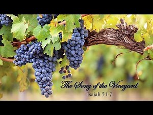 The Song of the Vineyard - Isaiah 5:1 7 - May 2, 2021