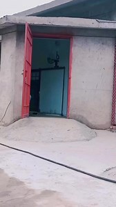 153K views · 1.4K reactions | #bengoltiger #funnyvideos #bengaltiger #tiger #comedy #savewild #lion | Shero Ka Badshah | Facebook