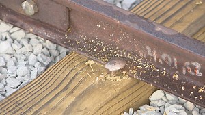 Final "Golden" spike pounded in at National New York Central Railroad Museum